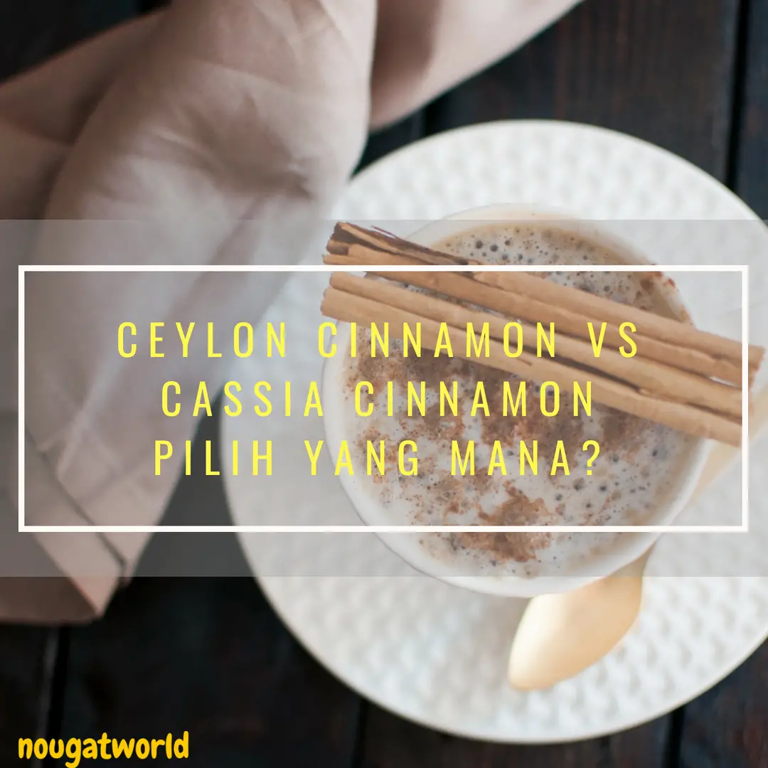ceylon cinnamon vs cassia cinnamon pilih yang mana 