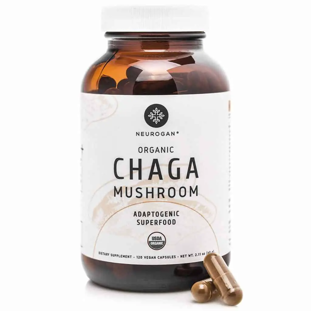 Chaga Mushroom Supplement