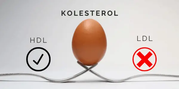 kolesterol 