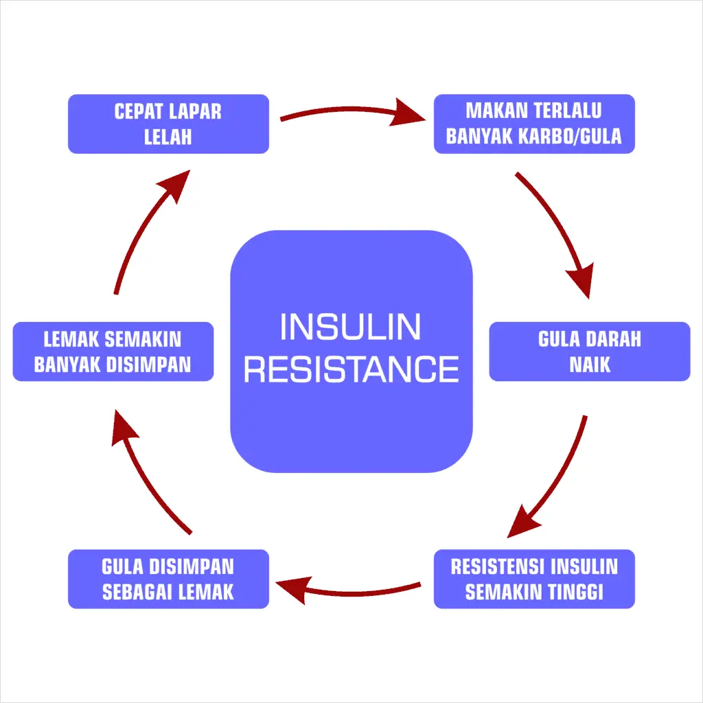 resistensi insulin 