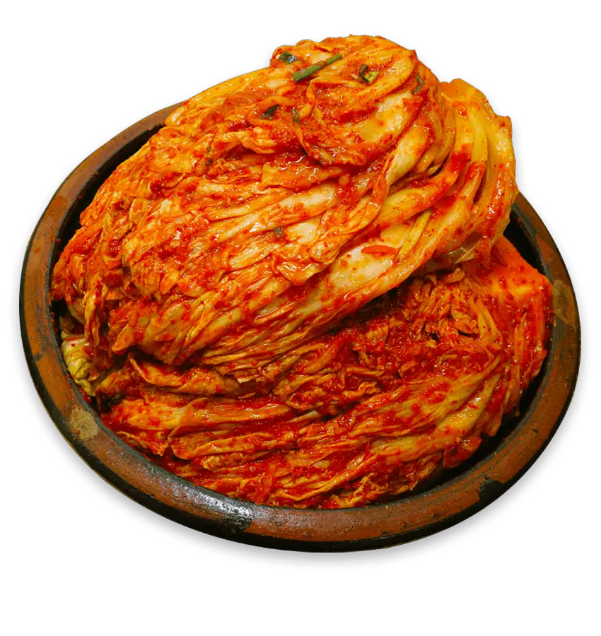 kimchi probiotik