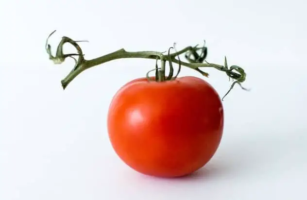 tomat pengganti msg