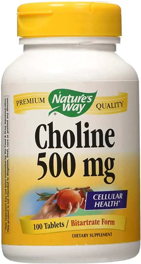 choline fatty liver penyakit hati